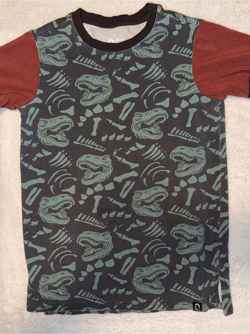 RAGS Kids Dinosaur Graphic Tee with Contrasting Sleeves
